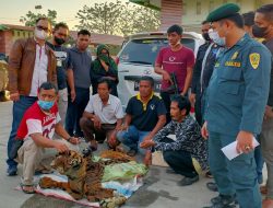 Polisi Ringkus 4 Pelaku Perdagangan Kulit Harimau di Kampar Riau