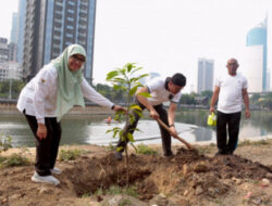 Pemilik Gedung di Jakpus Diimbau Ikut Bantu Penghijauan