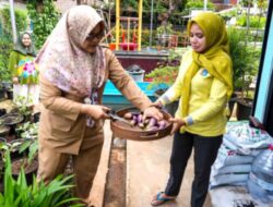 Urban Farming RPTRA Melati 04 Bantu Tekan Stunting di Benhil