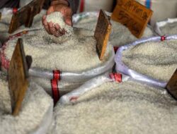 Kenaikan Harga Beras Jadi Sorotan Aktivis dan Petani