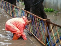 Personel Gabungan Dikerahkan Tangani Genangan di Rawa Terate