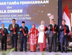 Bupati dan Ketua TP-PKK Tanjab Barat Terima Penghargaan MKK dari BKKBN