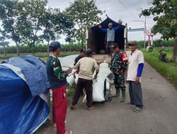 Program Serapan Gabah Kering Panen oleh Babinsa dan Bulog untuk Kesejahteraan Petani