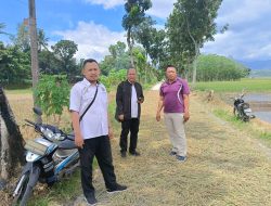 Tanpa Papan Proyek, Pembangunan Rabat Beton di Sumurkidang Terindikasi KKN