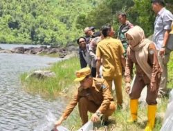 Pemkab Kerinci Tebar Benih Ikan di Danau Duo Gunung Raya